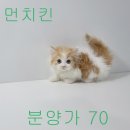 2개월된 최강 귀요미 랙또리가 나타나따!!! 이미지