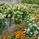 부남초등학교 이미지