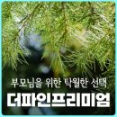 당뇨와건강 커뮤니케이션 | 당뇨예방법 알아보다 인기 많은 더파인프리미엄 후기 총 정리