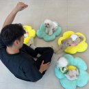 호텔맘 이미지
