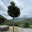 약수터산장 이미지