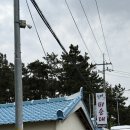 부안할매피순대 이미지