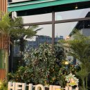 소로3-42(혁신도시) | 충북혁신도시에서 즐기는 제주도 여행? '제줏간' 솔직 후기!