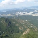 여우와늑대 이미지