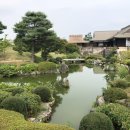 후지산 3일 여행 후기, 75만원대로 알차게 다녀온 부산 출발 꿀팁 (시즈오카, 후지산, 2박3일, 교원투어)
