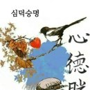 녁 이미지