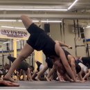 애니멀짐PT 이미지