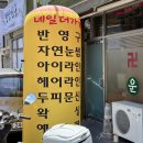 네일더가꿈