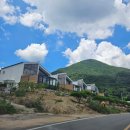 엘담스테이 이미지