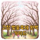 고창천 | 2026 고창 벚꽃축제 일정 가수 라인업 및 주차 꿀팁 가이드