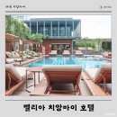 치앙마이호텔 멜리아 치앙마이 호텔 수영장 5성급 숙소 추천
