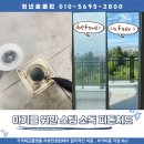 클린환경제주 | 제주 입주청소 천식 있는 아기를 위한 피톤치드 소독 + 스팀살균까지 진행한 후기