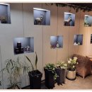 나를 위한 마사지 이미지