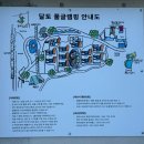 울진 영덕 오션뷰 숙소 달토풀글램핑 바베큐 수영장 자쿠지 캠핑감성 글램핑장 내돈내산 추천