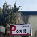 1박2일노래장
