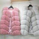 폭스빈