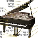 오로지피아노음악교습소 이미지