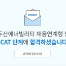 취준 최종 후기