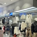 신세계의류매장 | 캘러웨이어패럴 신세계 대구 매장 방문 후기