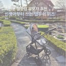 위즈 | 여행용 신생아 절충형 유모차 추천 맘푸쉬 위즈 사용 후기