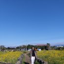 법환포구횟집식당 이미지