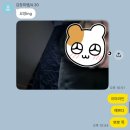 남부산상사 | 엉망진창 부산여행기(미모의 섹시상사)(26.02.21~23)
