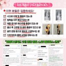 바디 멀티 필라테스 이미지