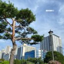 서귀포시청 제1청사 별관 | 안산시청 제2별관 민원실 주차장 정보 NH농협은행 위치