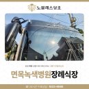 녹색장례 | 면목녹색병원장례식장 가족과의 이별 속 따뜻한 도움을 받았습니다.