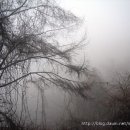 말목산 입구 이미지