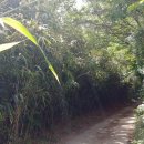 하범곡마을 이미지