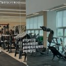 탑핏 피티 스튜디오 추천 / 대전 신흥역 헬스장