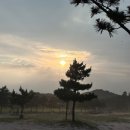 오토어썸 이미지