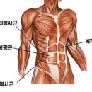휘트니스 모두 이미지