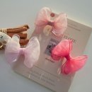 러블리 강아지 이미지