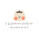 지리산권 사회복지관 | 함양 가볼만한곳 상림공원 11월 중순 단풍구경(주차장/반려견/절정시기)
