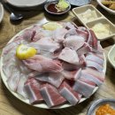 다나펫샵 | 먹기만 하는 일상 이러면서 사키로 쪘다고... 울어버리기 ~