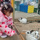 자연아놀자박물관 | 강릉 아이와가볼만한곳 생태체험박물관 자연아놀자!