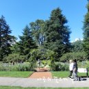 보타니칼 이미지