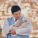 스타견 이미지