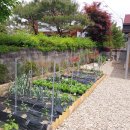 양지바른 이미지