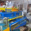 청정바다수산 | 제부도횟집 인심 좋은 사장님의 무한리필 굴구이 맛집 내집처럼청정수산 방문 후기