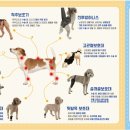 오앤피서울