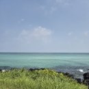 우쿠야제주함덕점 이미지