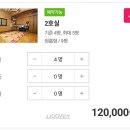 221 | [충남_태안] 태안 해루질 펜션 추천! 옛집 황토방펜션 1박2일 후기｜동죽·맛조개 대박 잡고 온 가족여행