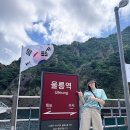 울릉도 산들바다 네이버블로그