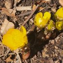 찬물내기 이미지