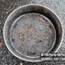 대신카센타 이미지