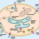 수명약국 이미지