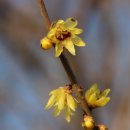 부산수목전시원 이미지